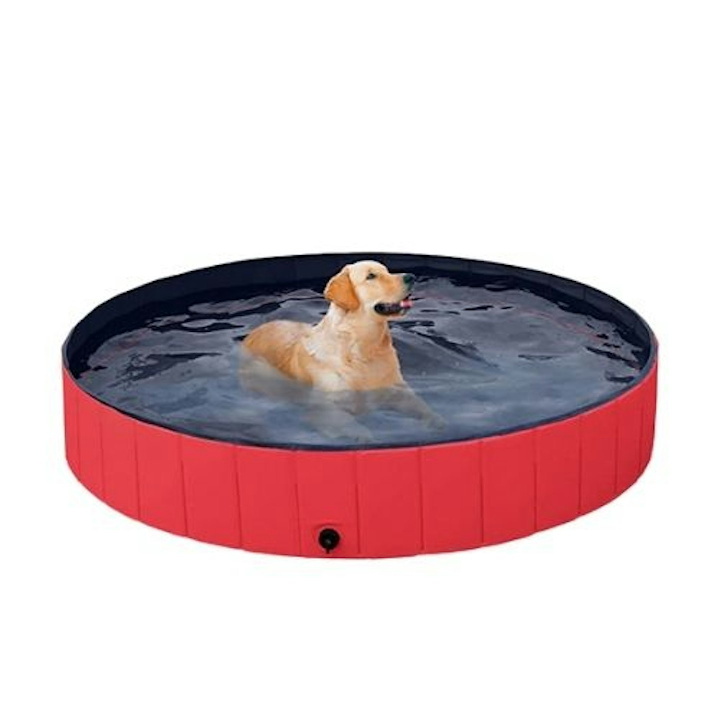 Best dog paddling pools for splashing and swimming